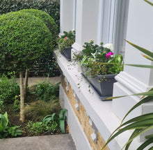 Load image into Gallery viewer, Window Box Planter