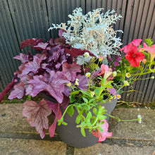 Load image into Gallery viewer, Welcome Planter REFILL