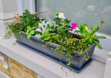 Load image into Gallery viewer, Window Box Planter
