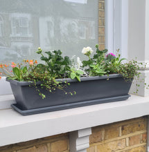 Load image into Gallery viewer, Welcome Planter REFILL
